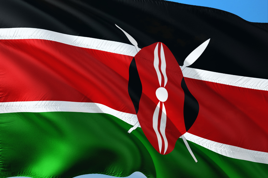 Digital Asset Adoption in Kenya